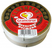 Camembert pasteurisé GRANCOEUR - 22% MGPT