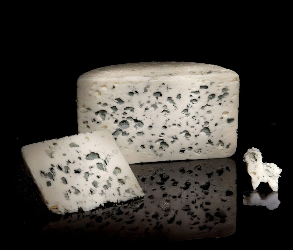 Roquefort Vernières : une tradition familiale et un fromage d’exception