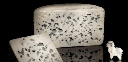 Roquefort Vernières : une tradition familiale et un fromage d’exception