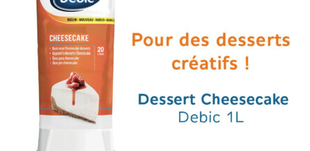 FrieslandCampina-Debic-Cheesecake-03/25