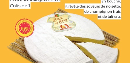 Nos offres du moment