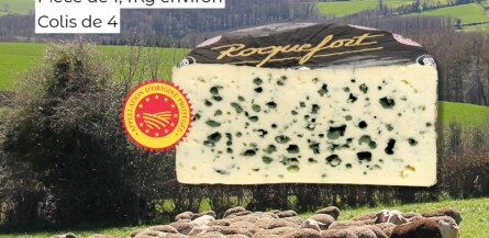 Nos offres du moment