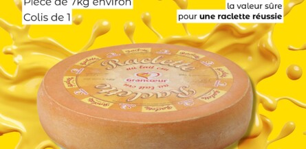 Nos offres du moment