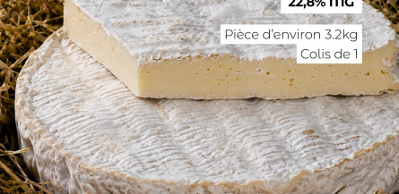 Brie de Meaux AOP-Fromagerie de normandie-Grancoeur-09/26